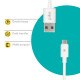 Дата кабель USB 2.0 AM to USB-C 1.2m White Piko (1283126477522)