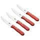 Набір ножів Bergner Bbq lovers для стейків, 4 предмети (BG-40201-MM)
