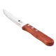 Набір ножів Bergner Bbq lovers для стейків, 4 предмети (BG-40201-MM)