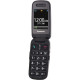 Мобільний телефон Panasonic KX-TU446 Red (KX-TU446EXR)