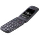 Мобільний телефон Panasonic KX-TU446 Grey (KX-TU446EXG)