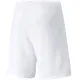 Шорти Puma teamRISE Short 704942-03 білий M (4063699209051)