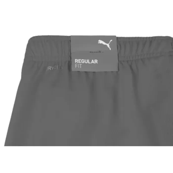 Шорти Puma teamRISE Short 704942-13 сірий M (4063699212051)