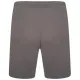 Шорти Puma teamRISE Short 704942-13 сірий M (4063699212051)