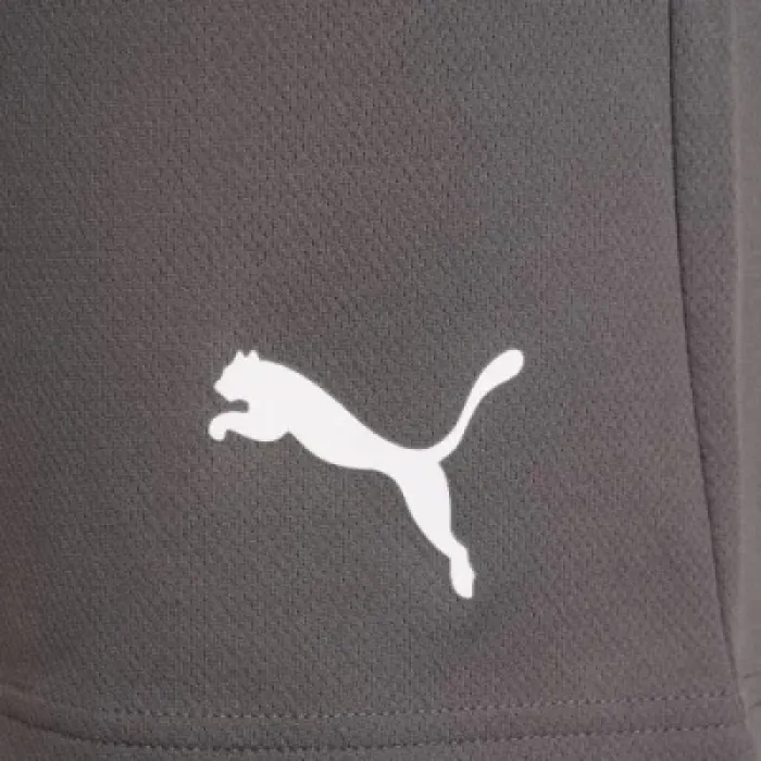 Шорти Puma teamRISE Short 704942-13 сірий M (4063699212051)