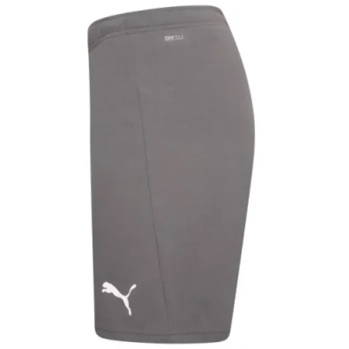 Шорти Puma teamRISE Short 704942-13 сірий M (4063699212051)