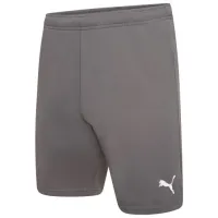 Шорти Puma teamRISE Short 704942-13 сірий M (4063699212051)