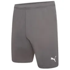 Шорти Puma teamRISE Short 704942-13 сірий M (4063699212051)