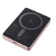 Батарея універсальна Intenso MW10000 10000mAh Magnetic rose (7344033)