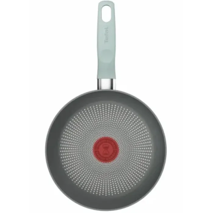 Сковорода Tefal Halo EUCALYPTUS, 24см, алюміній, бакеліт, сірий (G0160402)