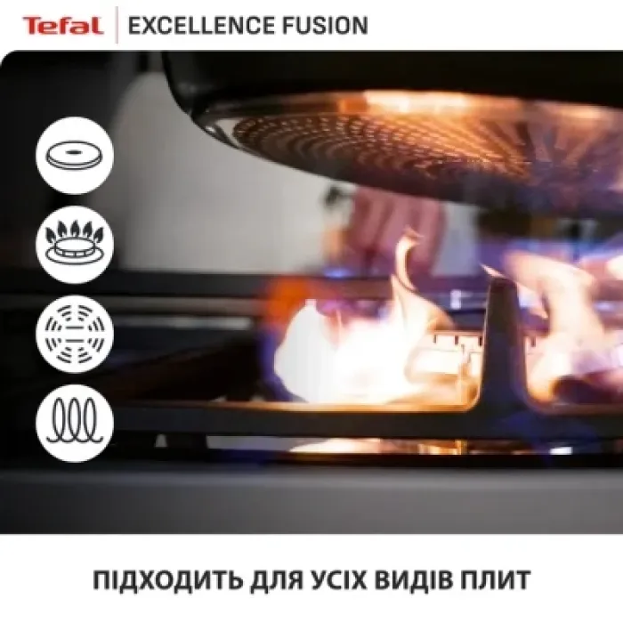 Сковорода Tefal Excellence Fusion з кришкою 24см чорний (G3388402)