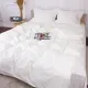 Постільна білизна MirSon Poplin Line 002 Milky White 175 x 210 (2200006277798)