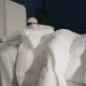 Ковдра MirSon Набір 9575 Luxury Exclusive Ковдра всесезонна Євро 200х220 Thinsulate + Дві подушки 50х70 (2200010806762)