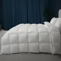 Ковдра MirSon Набір 9575 Luxury Exclusive Ковдра всесезонна Євро 200х220 Thinsulate + Дві подушки 50х70 (2200010806762)