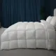 Ковдра MirSon Набір 9575 Luxury Exclusive Ковдра всесезонна Євро 200х220 Thinsulate + Дві подушки 50х70 (2200010806762)