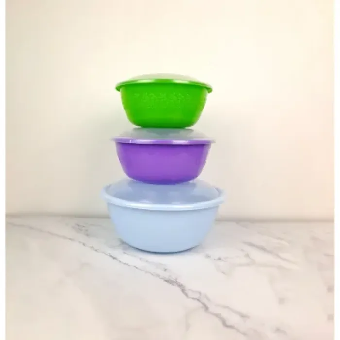 Миска Gusto Ягідка з кришкою 6 л блакитний (G-1061)